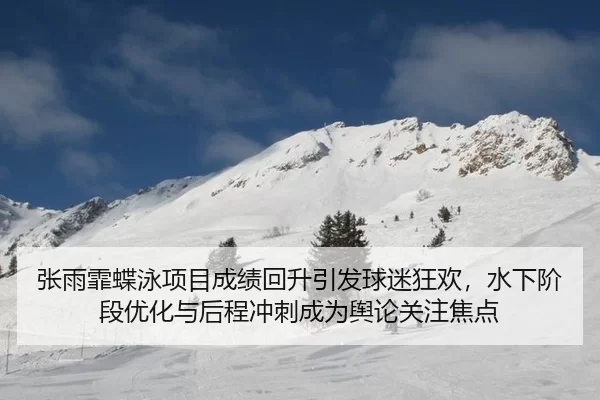 zhang-yu-fei-die-yong-xiang-mu-cheng-ji-hui-sheng-yin-fa-qiu-mi-kuang-huan-shui-xia-jie-duan-you-hua-yu-hou-cheng-chong-2-108.jpg